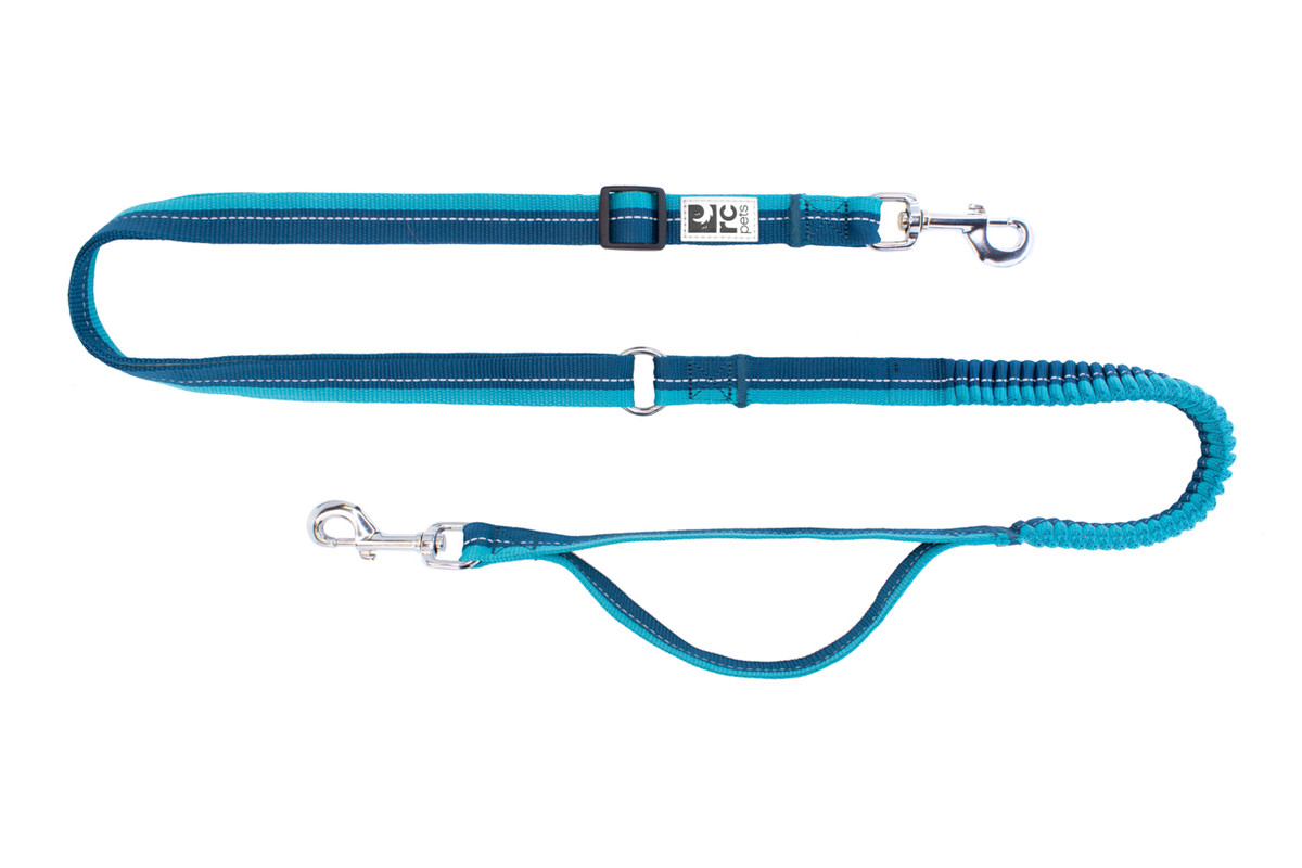 Bungee Active Leash - Arctic Blue / Teal