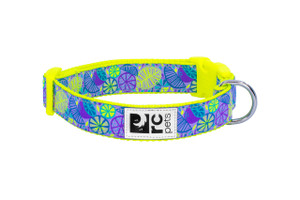 Clip Collar - Citrus