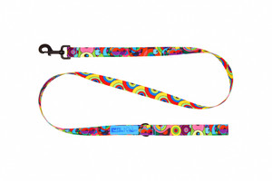 Artist Series Leash - Dalek