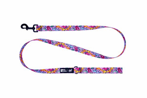 Artist Series Leash - Runt