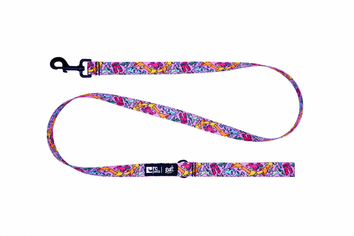 Artist Series Leash - Runt