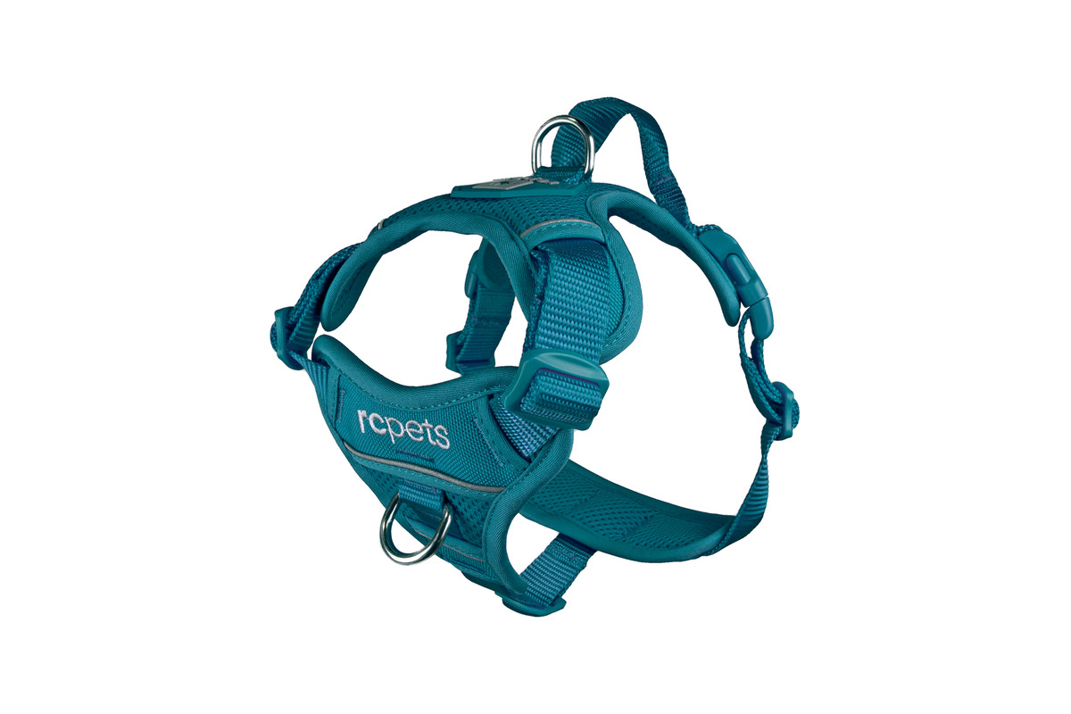 Momentum Control Harness-Dark Teal