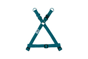 Primary Step in Harness - Dark Teal