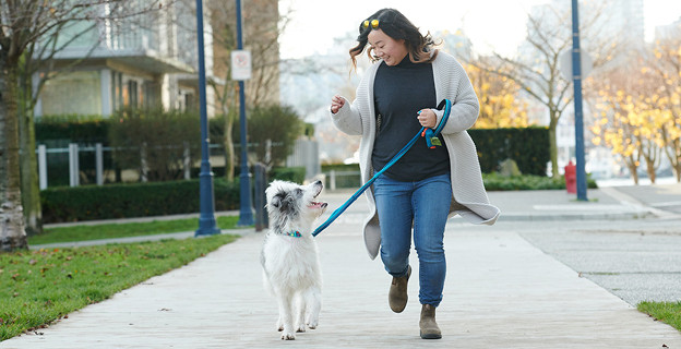 Leashes