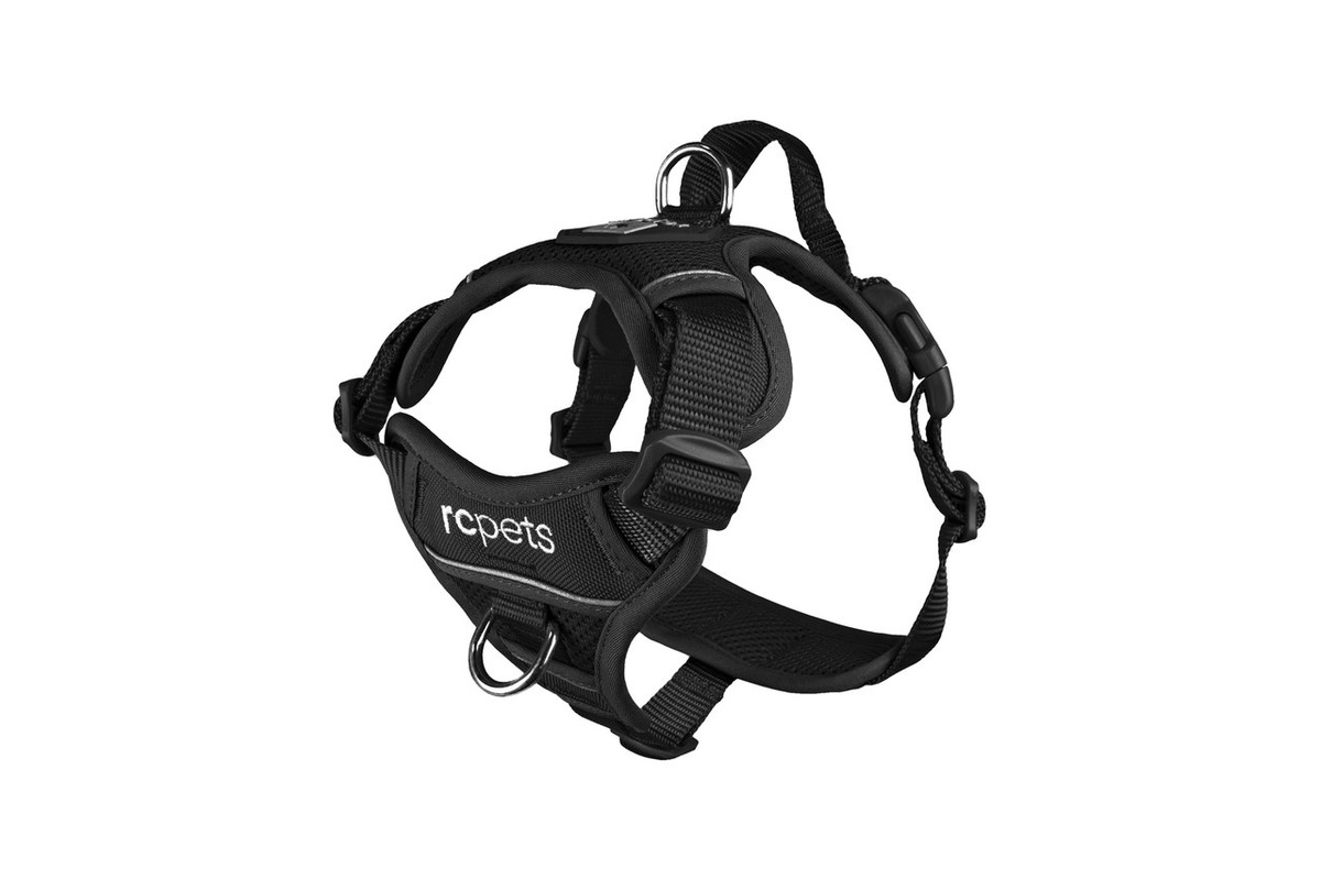 Momentum Control Harness-Black