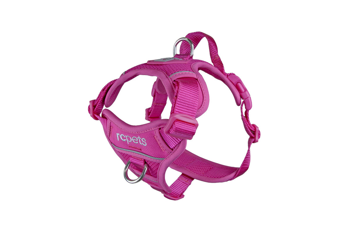 Momentum Control Harness-Fuchsia