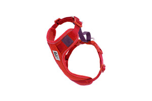 Moto Control Harness - Goji/Burgundy