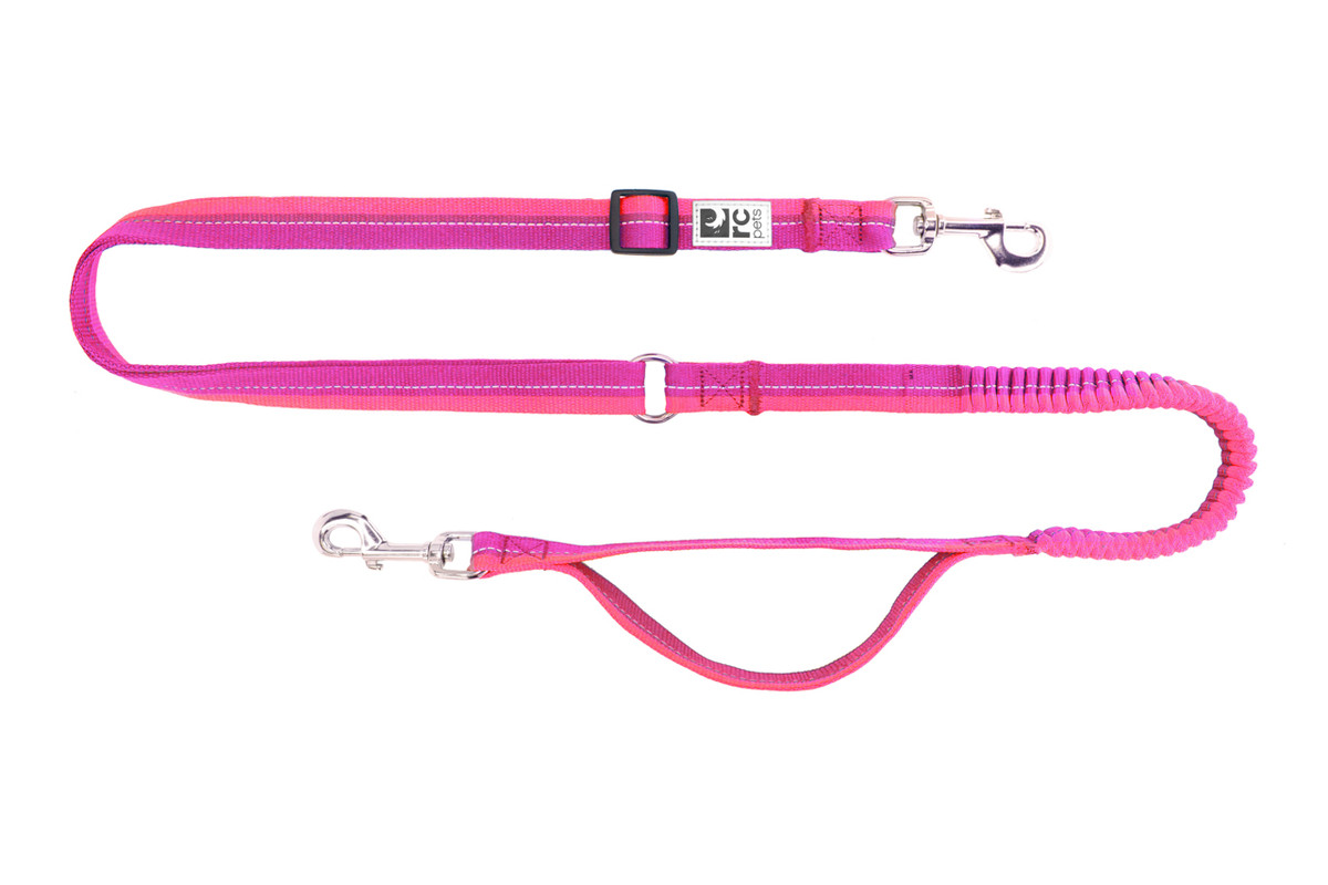 Bungee Active Leash - Mulberry / Azalea