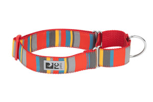 All Webbing Training Collar - Multi Stripes