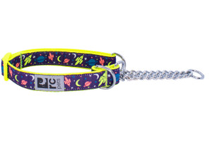Training Collar - Outer Space