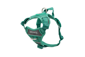 Momentum Control Harness-Parakeet