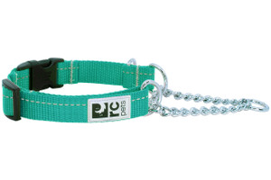 Training Clip Collar Primary - Parakeet