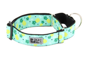 All Webbing Training Collar - Pineapple Parade