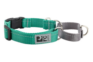 Primary Web Training Clip Collar - Parakeet