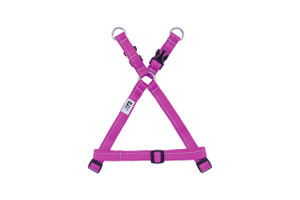 Primary Step in Harness - Mulberry