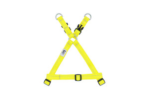 Primary Step in Harness - Tennis