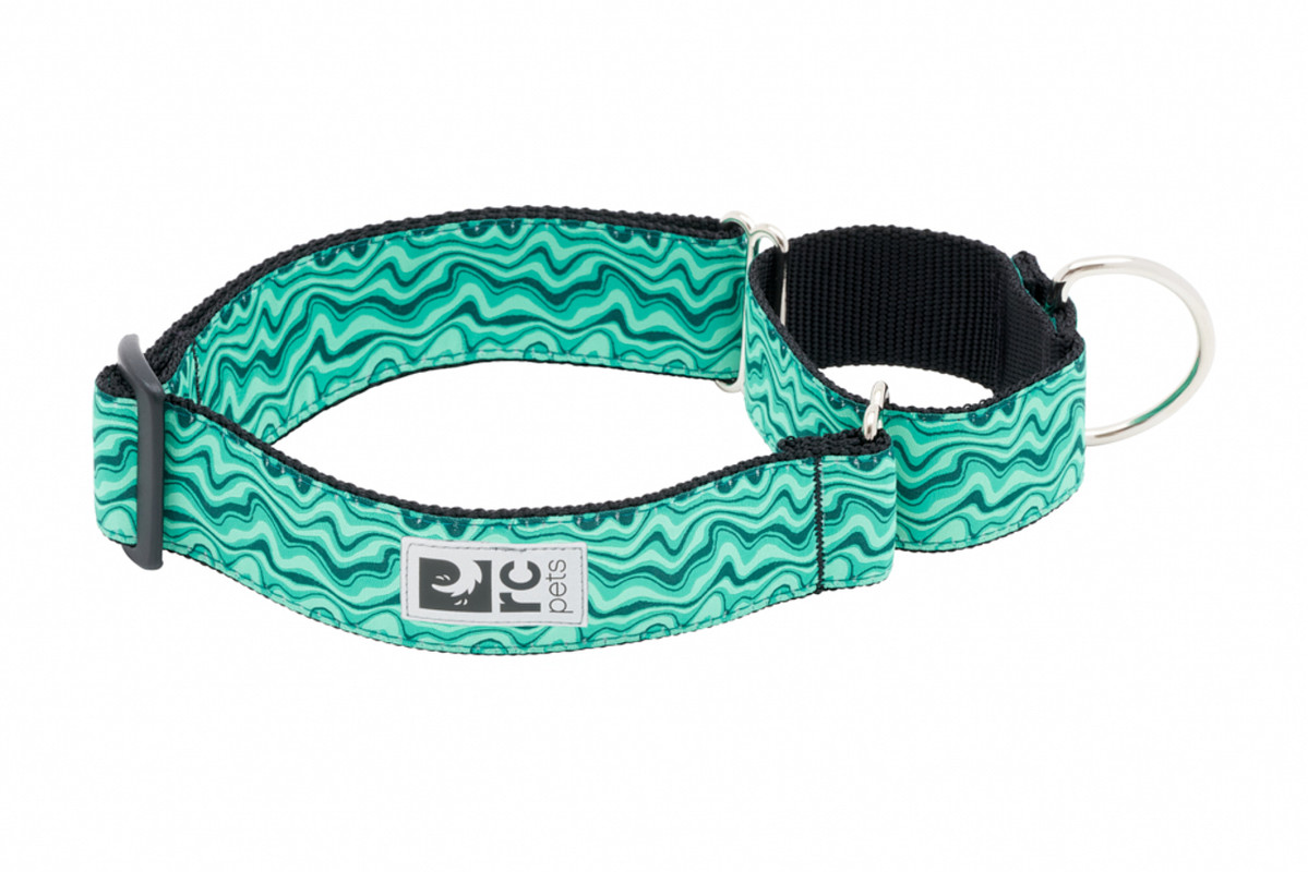 All Webbing Training Collar - Gemstone