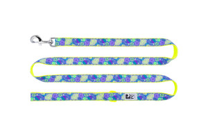 Dog Leash - Citrus