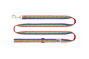 Dog Leash - Horizon