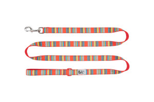 Dog Leash - Multi Stripes