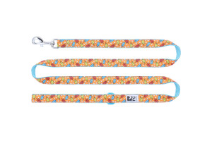 Dog Leash - Popsicles