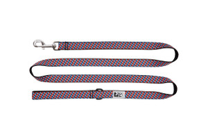 Dog Leash - Vector