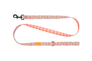 Eco Leash - Daisy Joy/Gleeful Gingham