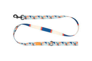 Eco Leash - Riptide/Coastal Stripe