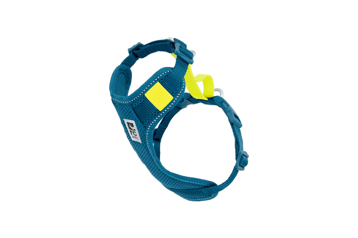 Moto Control Harness - Arctic Blue/Tennis