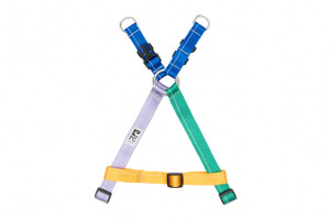 Primary Step in Harness - Confection