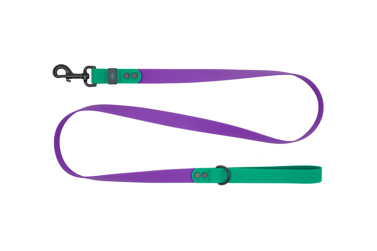 Waterproof Leash - Purple/Parakeet