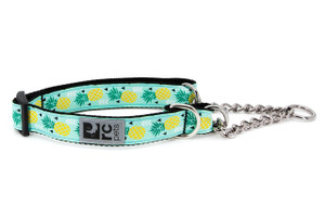 Training Collar - Pineapple Parade