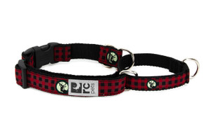 Easy Clip Web Training Collar - Urban Woodsman