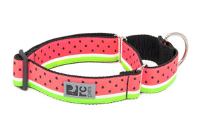 All Webbing Training Collar - Watermelon