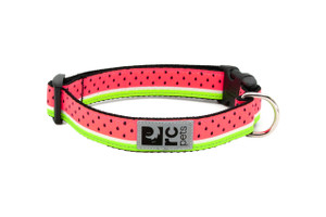 Clip Collar - Watermelon