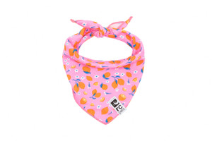 Zephyr Cooling Bandana - Zesty