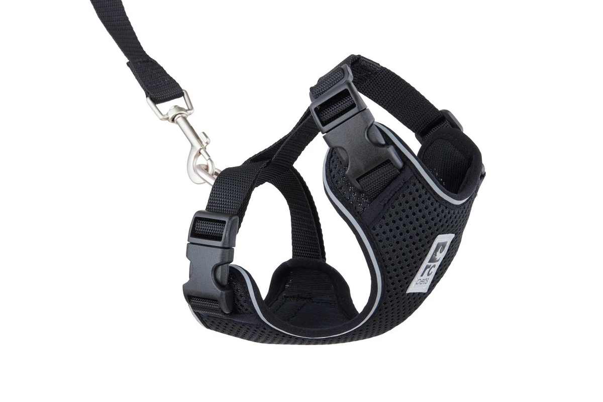 Adventure Kitty Harness - Black