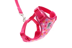 Adventure Kitty Harness - Lil Heart