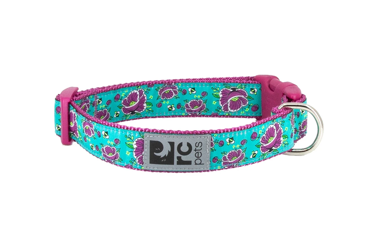 Clip Collar - All The Buzz