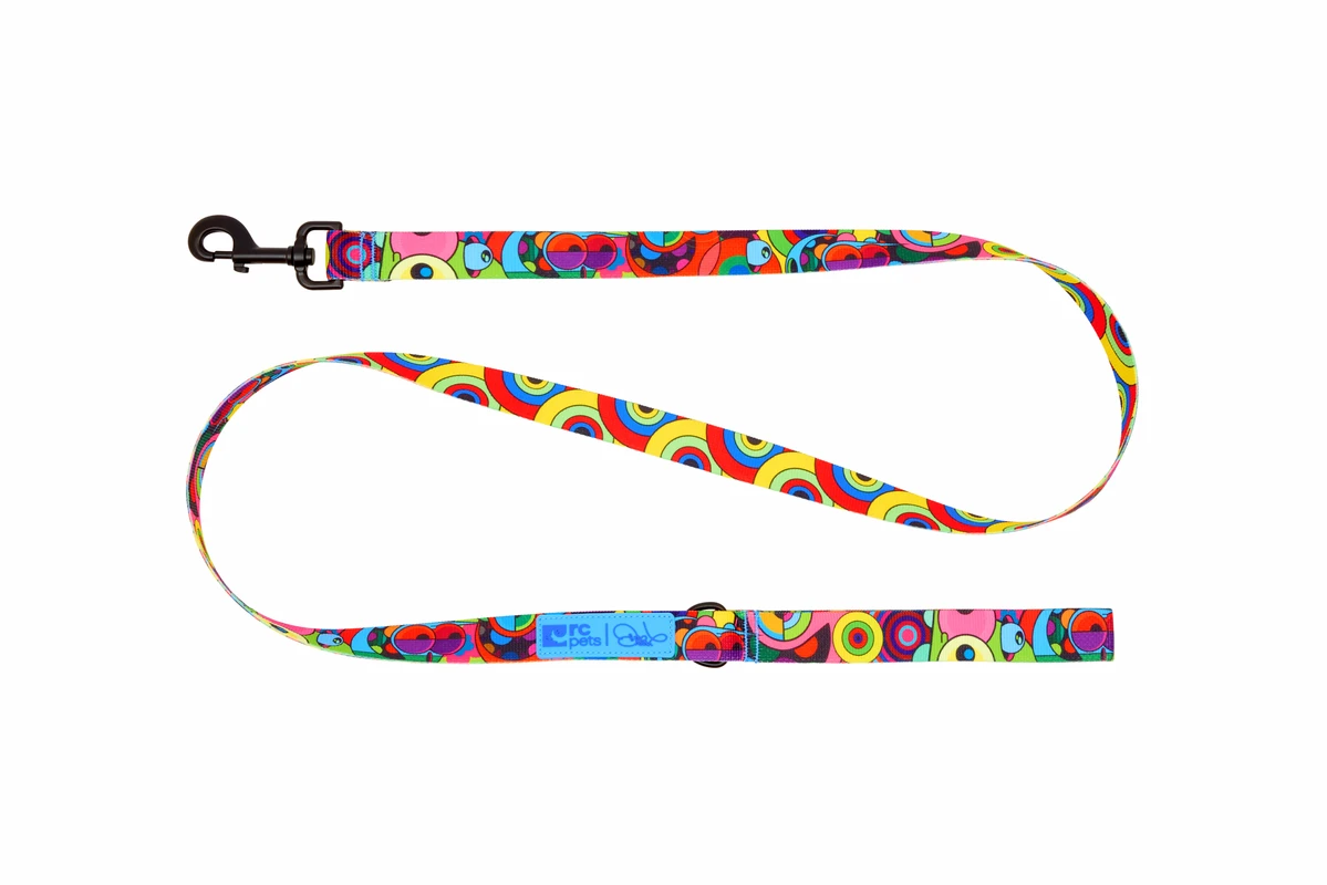 Artist Series Leash - Dalek