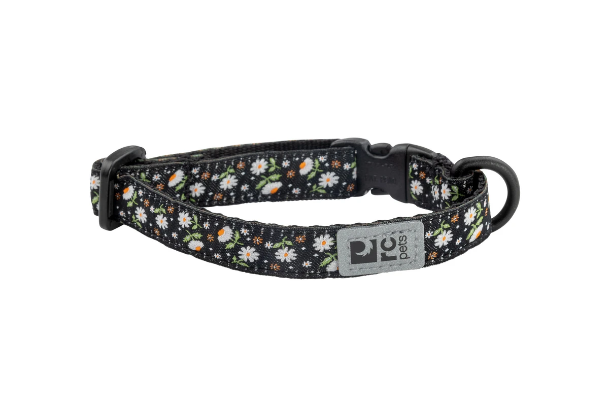 Kitty Breakaway - Daisies