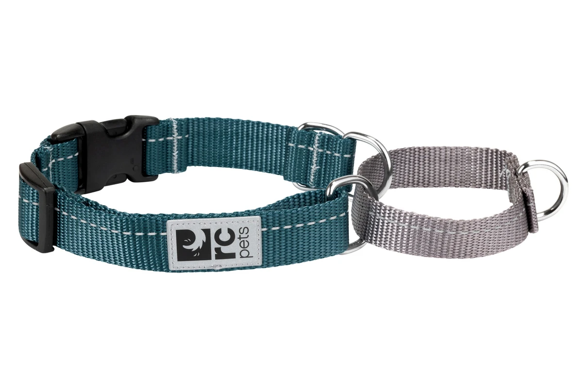 Primary Web Training Clip Collar - Dark Teal