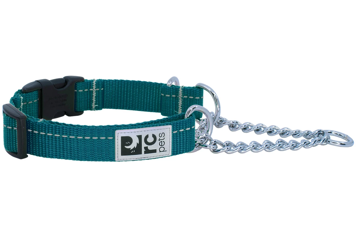Training Clip Collar Primary - Dark Teal