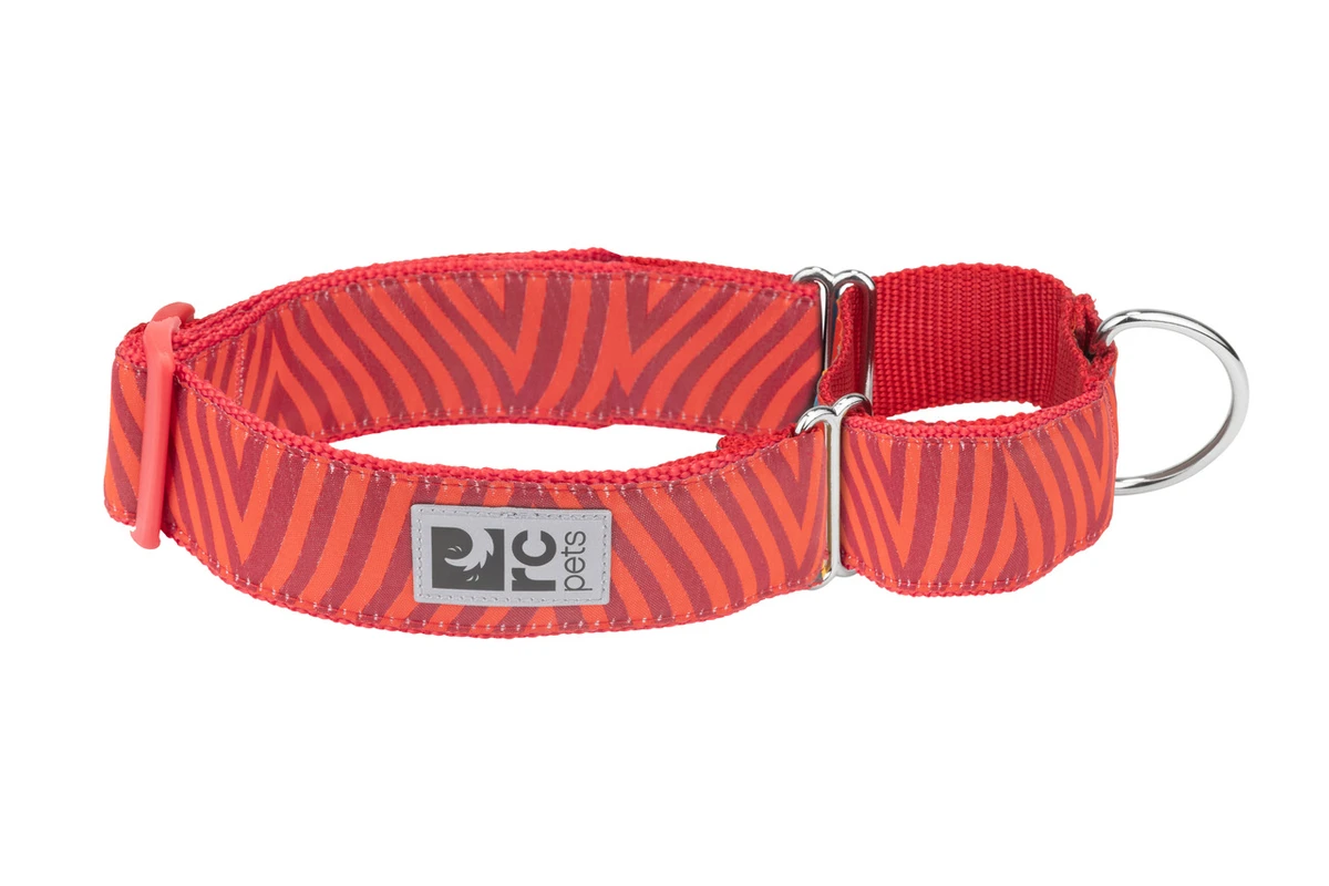 All Webbing Training Collar - Goji Chevron
