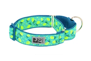 All Webbing Training Collar - Lemonade