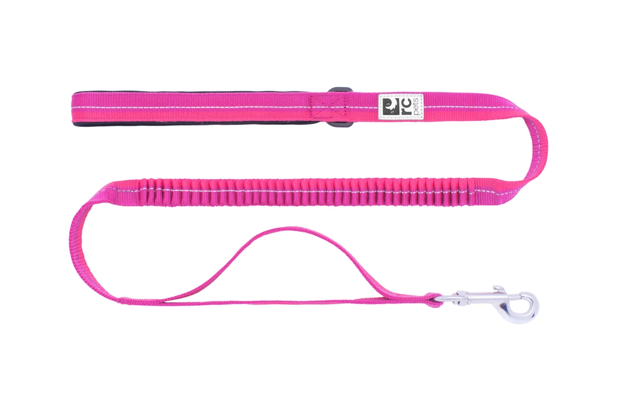 Bungee Traffic Leash - Mulberry/Azalea
