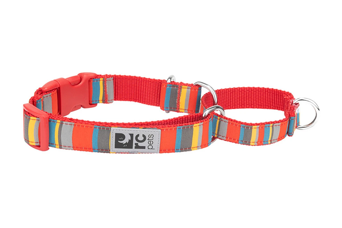 Easy Clip Web Training Collar - Multi Stripes
