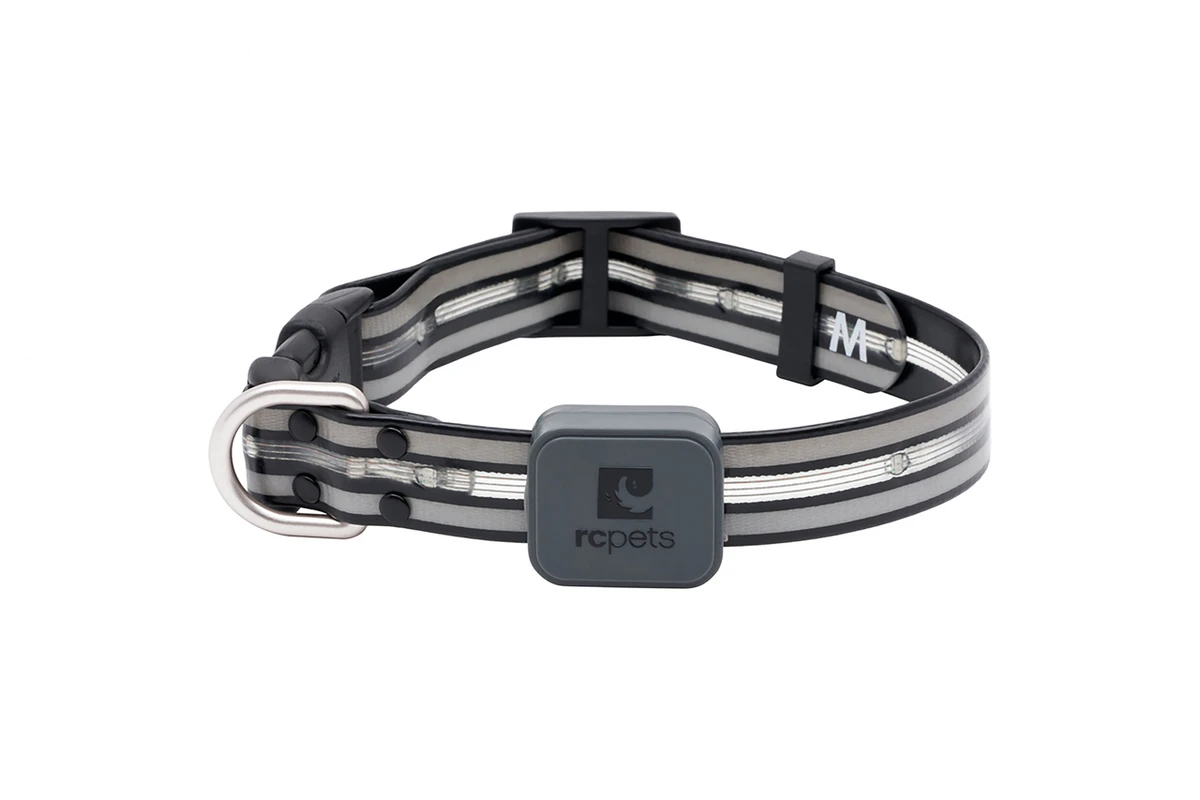 Nova LED Light Collar - Black