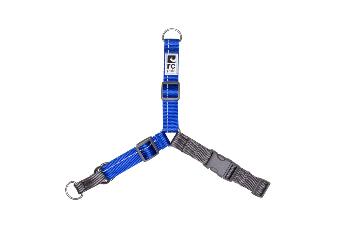 Pace-Harness - Royal Blue