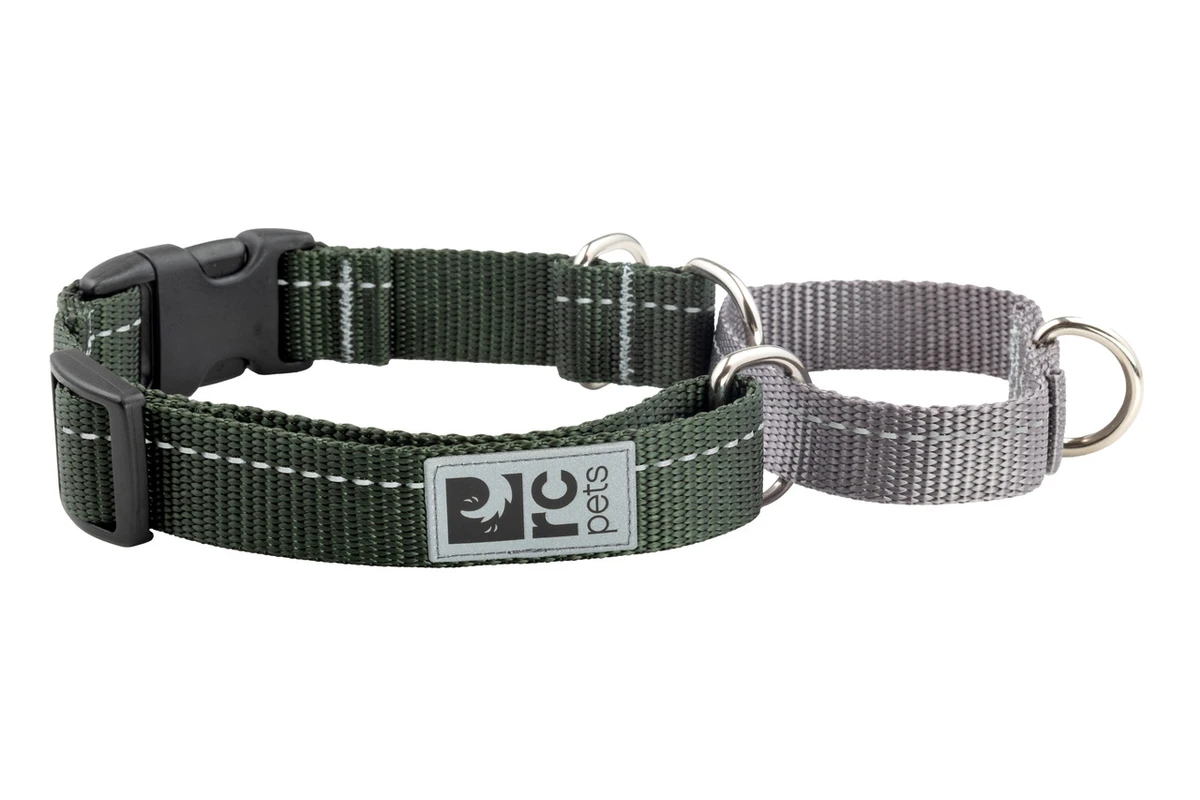 Primary Web Training Clip Collar - Dark Olive